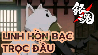 Linh Hồn Bạc-Cảnh tuyển chọn: Trọc đầu