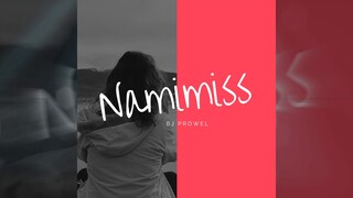 Namimiss - Bj Prowel