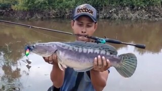 Mancing Toman Pinggir Jalan