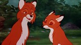 The love between two foxes, they fell in love at first sight when they met for the first time, but w