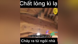 giải mã hiện tượng kì lạ reviewphim reviewphimhay nntreview2 learnontiktok