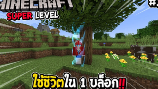 มายคราฟ Super Level 1 ใช้ชีวิตใน 1 บล็อกโหมดฮาร์ดคอ !!