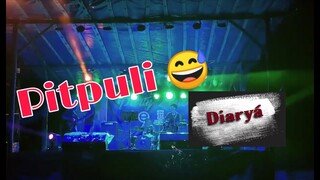 Faithfully | Diarya - Cover (Pitpuli)