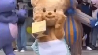 一只胖猫猫留下的足迹