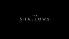 The shallows