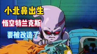 Dragon Ball GT: Bayi lahir, Goku Trunks digunakan sebagai bahan transformasi