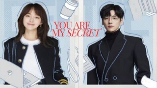 You Are My Secret - Episode 28 (🇨🇳 2024 Chinese Drama)