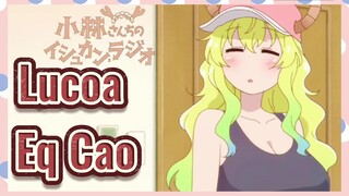 Lucoa Eq Cao