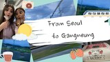 Seoul - Gangneung Vlog | From Seoul Station to Gangneung Station via KTX