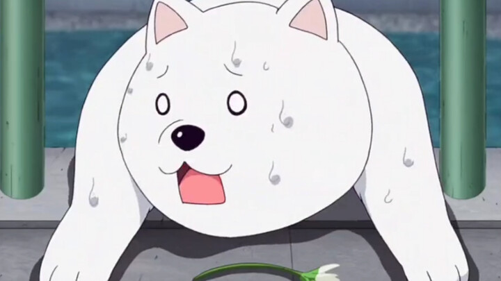 【อนิเมะ】ฉากชื่อดังเกี่ยวกับสุนัข