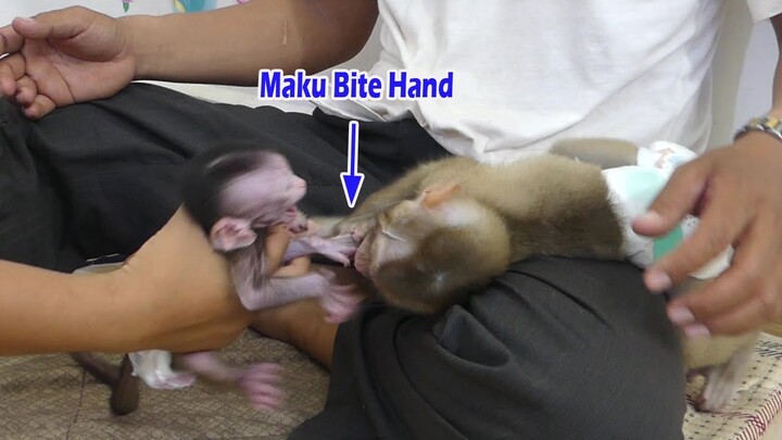 OMG!! Little Monkey Maku Feel Angry And Bite Hand Small Baby Jessie | Jessie Very Hurt