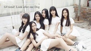 GFriend! Look after our Dog Ep 10