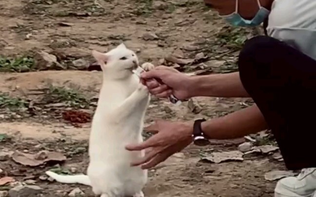 Makan, makan, jangan ambil kesempatan ini untuk terjebak bensin! !