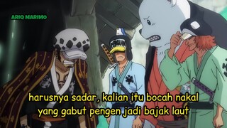 asal mula terbentuknya bajak laut Trafalgar D Law