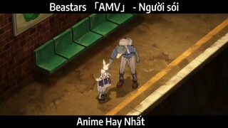 Beastars 「AMV」 - Người sói | Hay Nhất