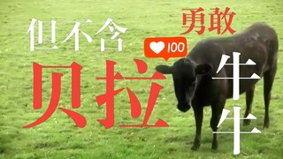 100%勇敢牛牛