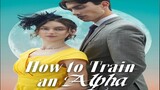 How To Train an Alpha |Part-1|