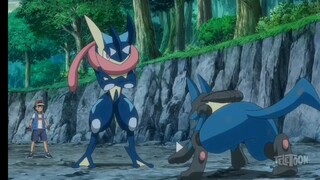 Greninja vs Lucario