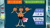 オーキド博士のポケモン講座(ドードリオ)