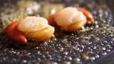 กูตู๋เตอเหม่ยสือเจีย- สปาเกตตี้ตับห่านหอยเชลล์ + ปลาไหลญี่ปุ่น อร่อย!