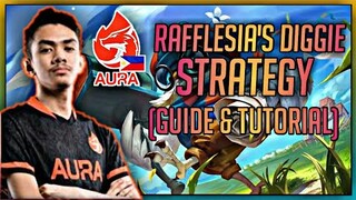 Aura PH Diggie Bug!! Rotation Strategy Tutorial (Guide & Gameplay)