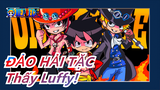 [ĐẢO HẢI TẶC] Tôi muốn tất cả những nguời yêu Anime có thể thấy Luffy!