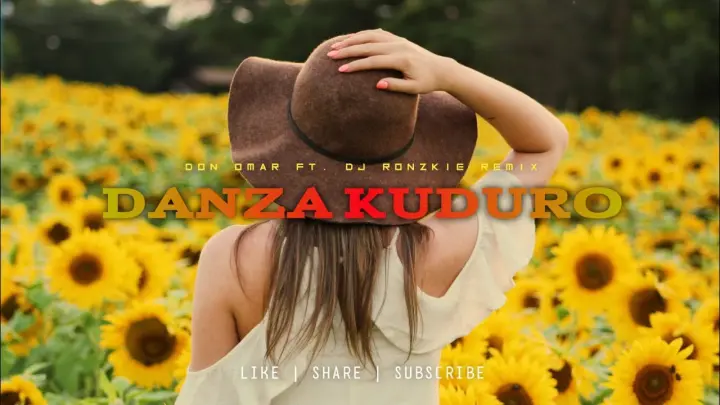 Danza Kuduro - Don Omar [ Dj Ronzkie Remix ] Funky Nights