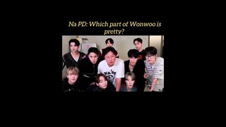 Na PD: Which part of wonwoo is pretty❓ #wonwoo #seventeen #vernon #seungkwan #dino #dk #mingyu #the8
