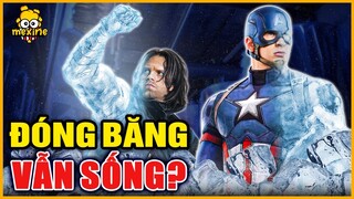 VÌ SAO CAPTAIN AMERICA VÀ WINTER SOLDIER BỊ ĐÓNG BĂNG VẪN SỐNG SÓT? | meXINE Khoa Học #18