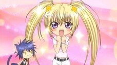 Shugo Chara S1 - 41