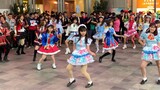 [Lễ hội đèn lồng của nhóm nhạc thần tượng 2D Quảng Châu Nhảy Flash Mob trong nhà] Dòng sao băng Quản