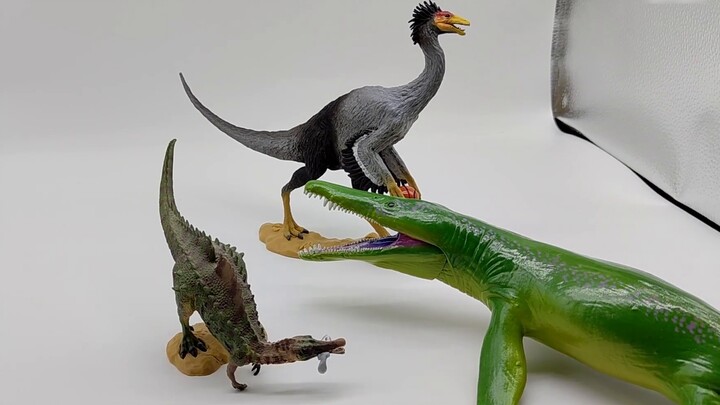 Gà mô hình khủng long, bạn đẹp quá phải không? Tôi muốn bạn nghĩ về bóng rổ và Beishanlong cùng nhau