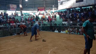 two wins sa Tagbilaran, champion. second fight