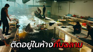 สปอยหนัง | ติดอยู่ในห้างซุปเปอร์มาร์เก็ต!! กับฝูงฉลามยักษ์