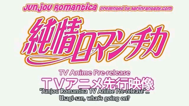 JUNJOU ROMANTICA SPECIAL EPISODE