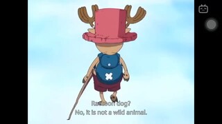 Chopper so cutee!