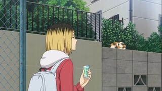 haikyuu