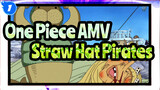 [One Piece AMV] Hilarious Daily Life of Straw Hat Pirates /Arabasta Saga (7)_1