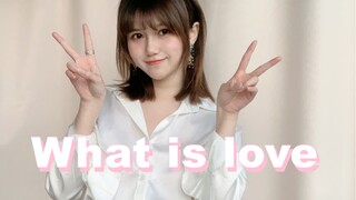 【Twice - apa itu cinta】Seorang gadis yang suka bertanya dengan gila