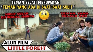 Film Yang Mengajarkan Arti dari Sebuah Pertemanan - Alur Cerita Film Korea Little Forest (2018)