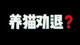 全网首支最全面养猫劝退视频，看完你还敢养猫吗？