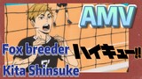 [Haikyuu!!]  AMV |  Fox breeder-Kita Shinsuke