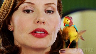 Mom Meets Bird | Stuart Little 2 | CLIP