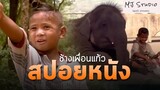 เรื่องราวแห่งมิตรภาพต่างสายพันธุ์ สปอยหนัง-เก่า ช้างเพื่อนแก้ว พ.ศ.2546