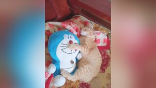 Ôm gác đoremon ngủ đã quá ta..E chỉ có ăn với ngủ là giỏi thôi hà..😛😅 meocute xuhuong