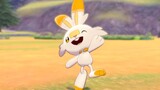 Yantuer, the original partner Pokémon, likes the little rabbit who is jumping around