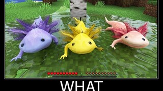 Minecraft รออะไร meme part 100 minecraft ที่เหมือนจริง axolotl