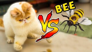 Cats vs Giant Bee (The Happy Pets #22)