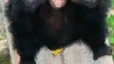 my friend