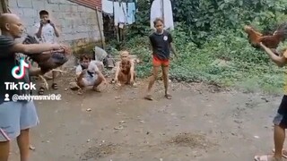 3wins naunahan pero ndii nag pabaya